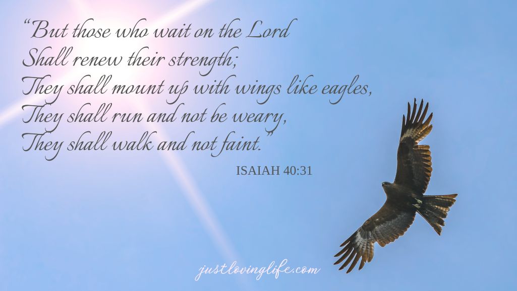 What Does Isaiah 40 31 Mean Just Loving Life t-l-chargement-disponible-sur-youtube-el-sapero-poto-poto-tiktok