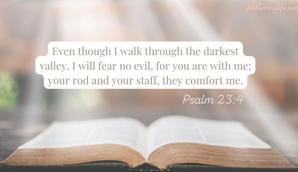 What does Psalm 23:4 mean?